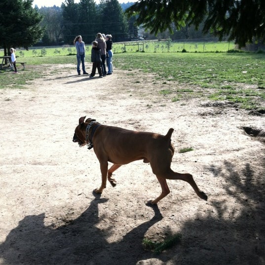Hazeldale Photos at Hazeldale Park - Aloha, OR