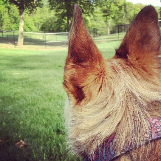 Dog Park Southeast Omaha Park Dr.