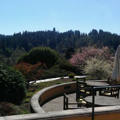 Photo taken at Marimar Estate Vineyards and Winery by Marissa on 3/4/2012