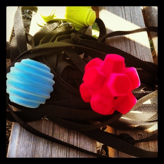 waggin tails bark park