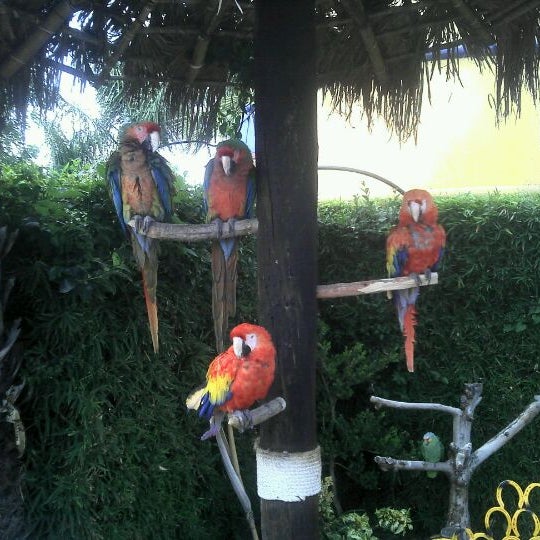 Foto tirada no(a) Zoo Parque Loro por Chava V. em 4/6/2012
