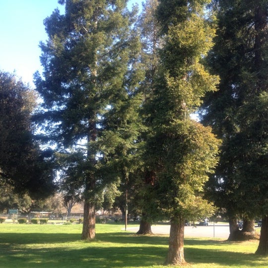 Tree 666