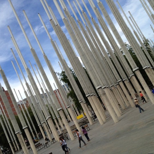 My Image 7