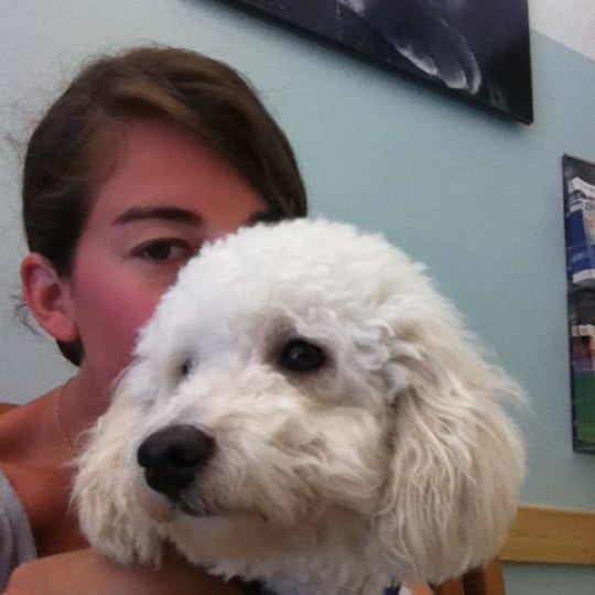 8/27/2012 tarihinde Amandaziyaretçi tarafından West Village Veterinary Hospital'de çekilen fotoğraf