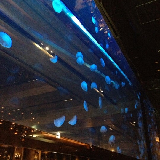 Medusa Restaurant Bar Lounge Bar En 恵比寿