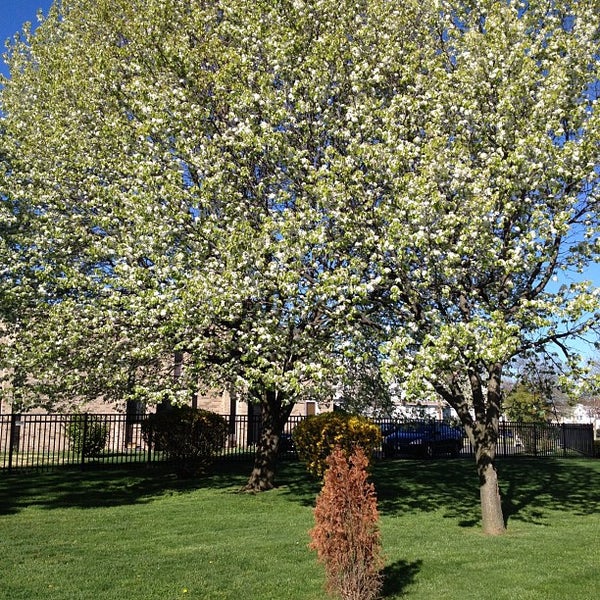 Photos at Sts. Joachim & Anne Parish Queens Village, NY