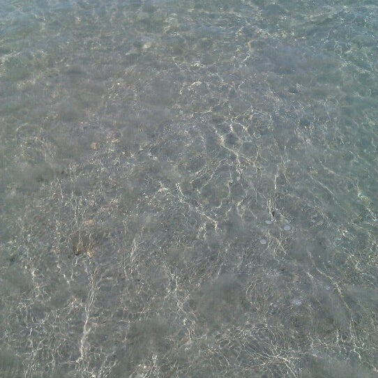 Calalga