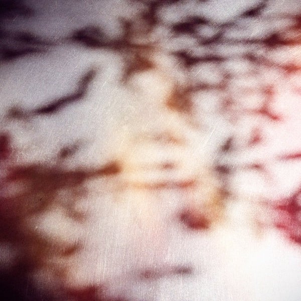 2/26/2012にRebeccaがSqueeze Marfaで撮った写真