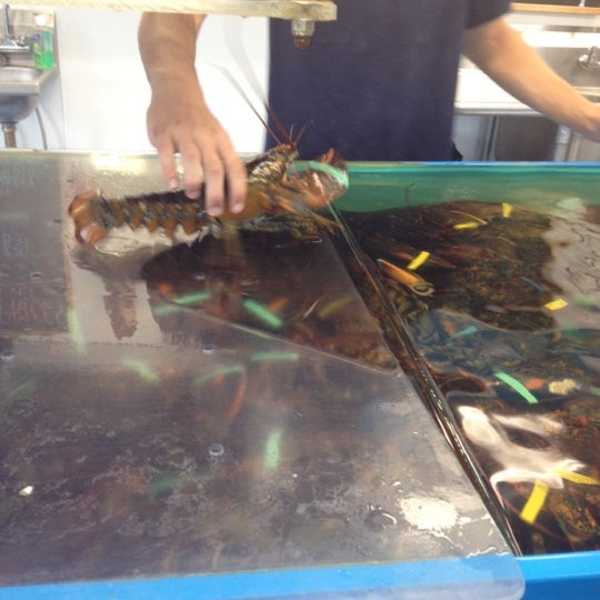 Das Foto wurde bei Cape Tip Seafood &amp; Lobster Market von Jessica V. am 6/16/2012 aufgenommen