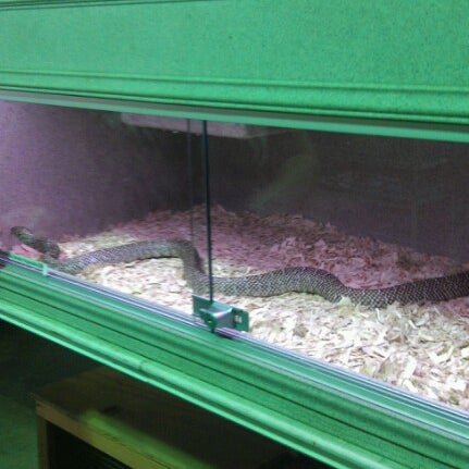 Nick s Pets Pet Supplies Store in Fort Pierce
