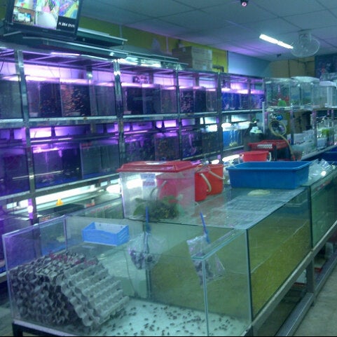 Azam Aquarium Kulim Kedah