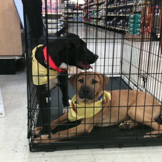 Photos at PetSmart East Louisville Louisville, KY