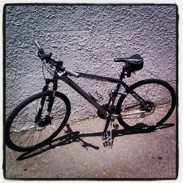 Roy's bicycle shop brooklyn hot sale