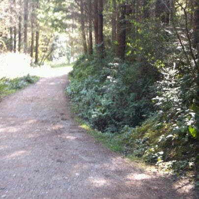 Photos At Banner Forest Forest