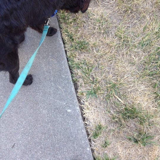 Golis Park Baseball Field Rohnert Park, CA