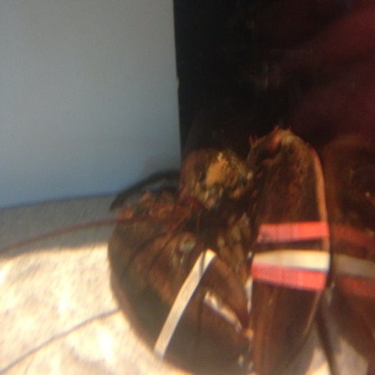 8/26/2012 tarihinde BigKahunaBrewziyaretçi tarafından Red Lobster'de çekilen fotoğraf