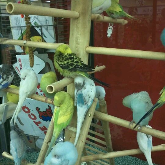 Petco Pet Supplies Store in Las Vegas