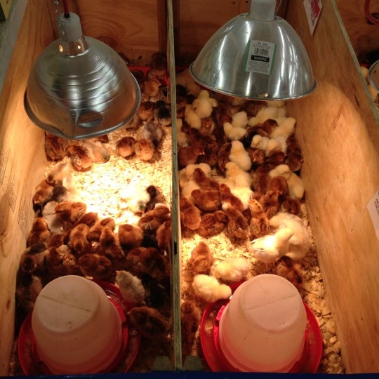 Hannibal Farm & Home Supply Hannibal, MO