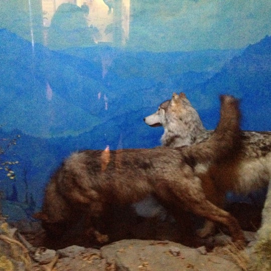 Снимок сделан в Santa Barbara Museum Of Natural History пользователем Laurassein 8/5/2012