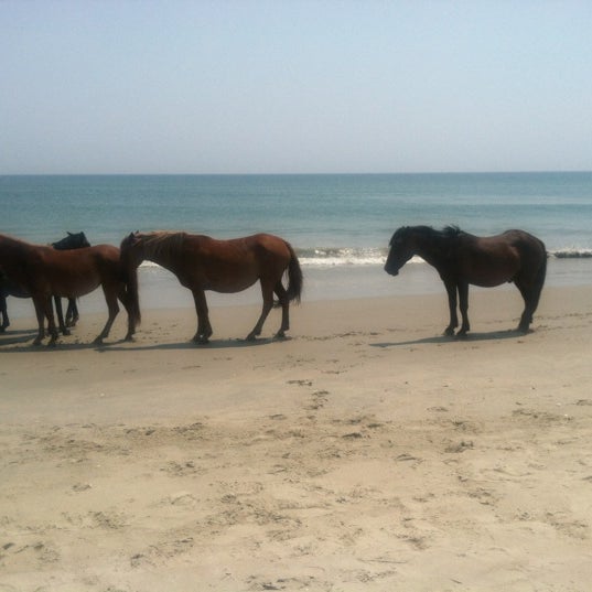 Photo taken at Wild Horse Adventure Tours by Stephanie G. on 7/5/2012