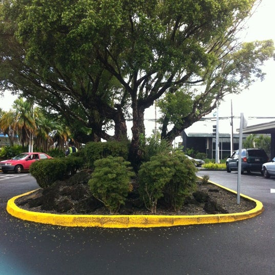 Hawaii Electric Light Company Hilo Jobs Shelly Lighting