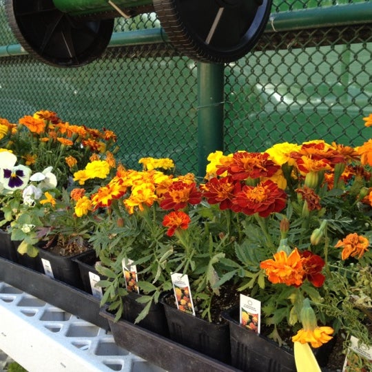 Photos at Crown Ace Hardware University Irvine, CA