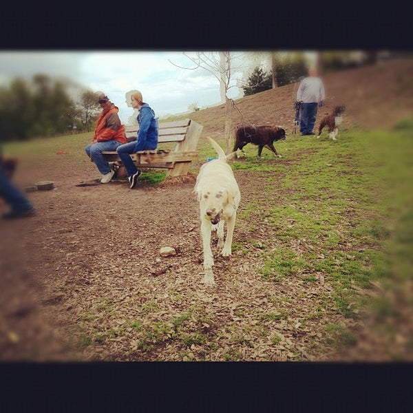 Andy's Bark Park 11664 Dale Rd