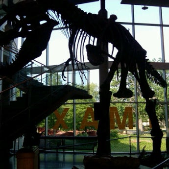 5/5/2012にTaylor T.がMuseum of Nature &amp; Scienceで撮った写真