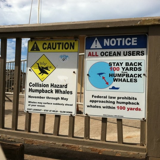 4/25/2012にCharlotte G.がTrilogy Excursions, Lahaina Boat Harborで撮った写真