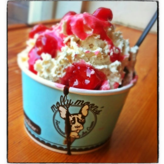 Molly Moon's Homemade Ice Cream Capitol Hill 255 tips