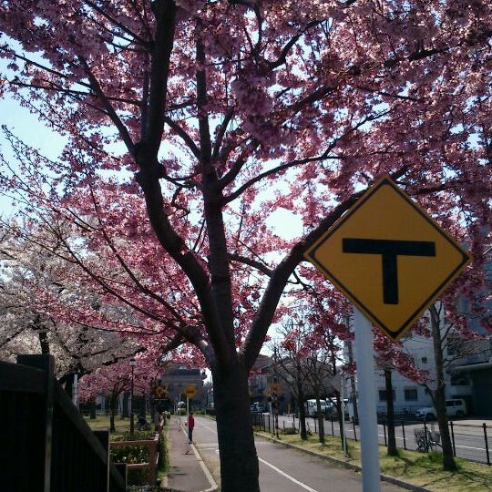 Photos At 南平児童交通公園 Playground