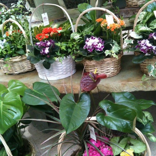 Ballard Blossom Flower Shop in Seattle
