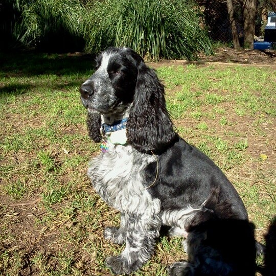 Enmore Tafe Park Trade School
