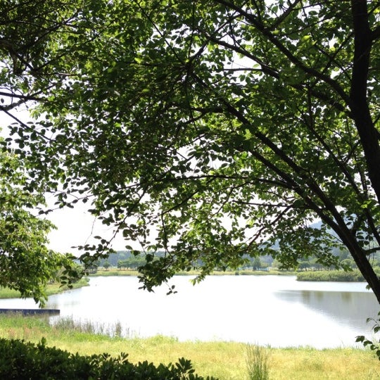 上堰潟公園 Park In 新潟市 上堰潟公園 Park In 新潟市