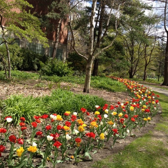 Photos At Beal Botanical Garden Michigan State University 2 Tips
