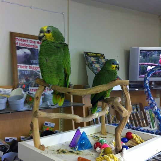 Port Orchard Parrots 6 visitors