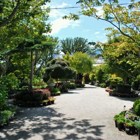 Photo taken at High Hand Nursery &amp; Cafe by Daly C. on 8/18/2012
