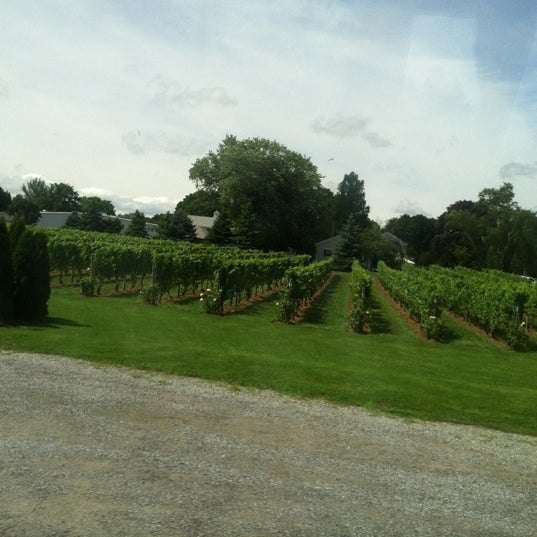 Photo taken at Peconic Bay Winery by Katy S. on 7/21/2012