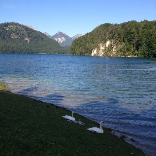 Alpsee - Lake