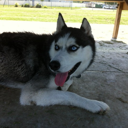 Pasadena Dog Park Dog Park in Pasadena