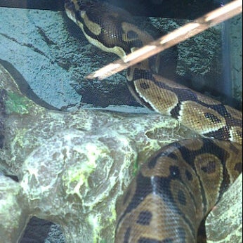 Photos At Petco Pet Store In Northeast Pensacola