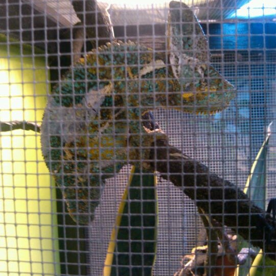Photos at Critters Exotic Pets - 1 tip from 6 visitors