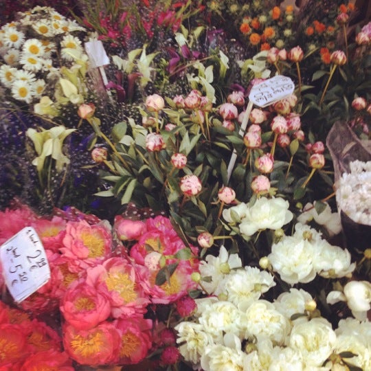 Blume 2000 Flower Store in Schönhauser AlleeNord