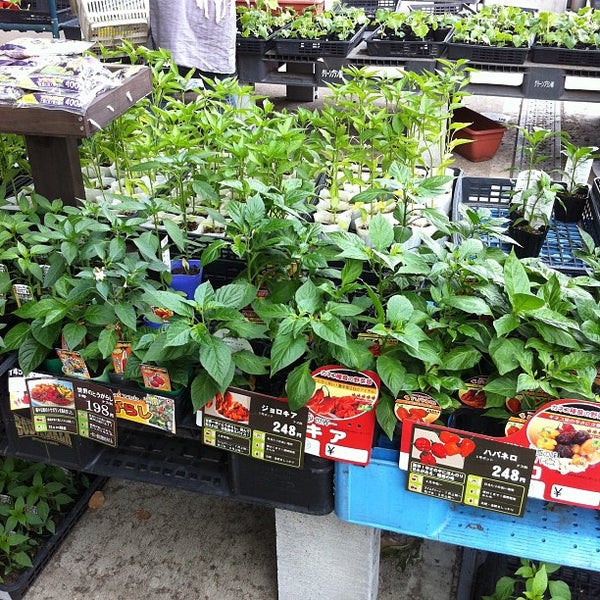 ホームセンターコーナン 西宮今津店 Home Service