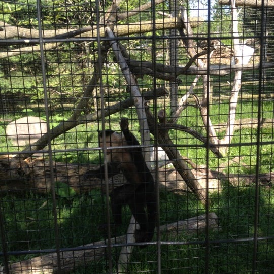 5/18/2012 tarihinde iLove L.ziyaretçi tarafından The Children&#39;s Zoo at Celebration Square'de çekilen fotoğraf