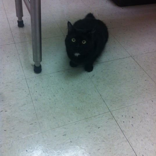 banfield pet hospital millerville