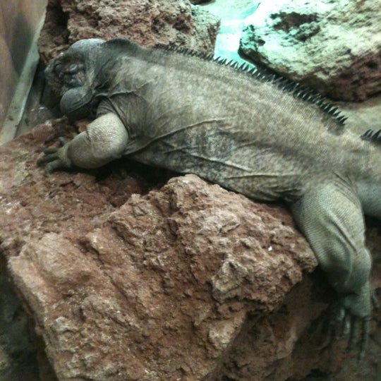 Photo taken at Denver Museum of Nature and Science by Kelli B. on 5/6/2012