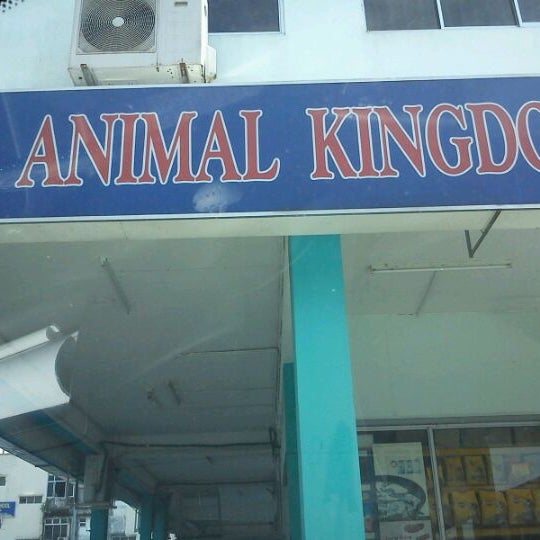 The Animal Kingdom 9 Tips