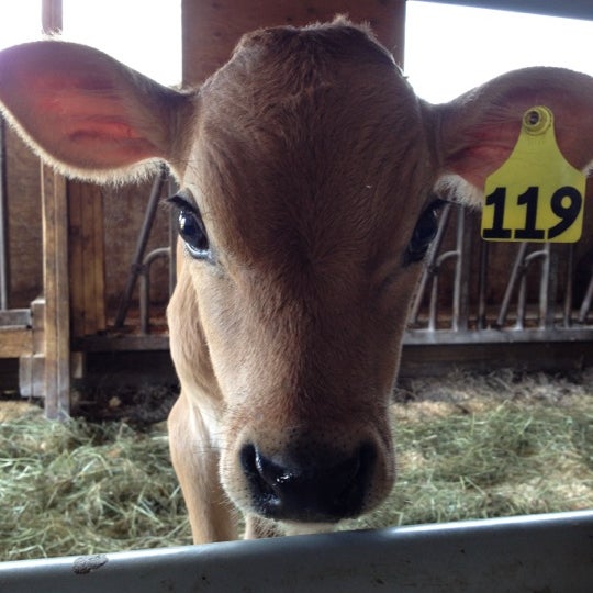 รูปภาพถ่ายที่ Sprout Creek Farm โดย Audrey A. เมื่อ 6/12/2012