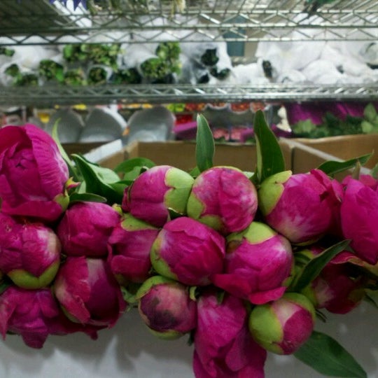 Photos at G.Page Wholesale Flowers Chelsea 2 tips from 70 visitors